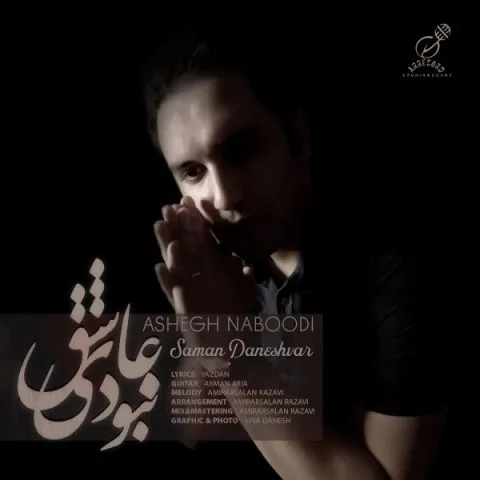 دانلود آهنگ سامان دانشور به نام عاشق نبودی + متن آهنگ
