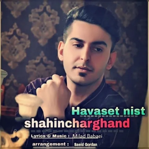 دانلود آهنگ شاهین چرغند به نام هواست نیست + متن آهنگ