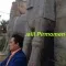دانلود آهنگ جلیل پیرمومن به نام همراه آدم + متن آهنگ
