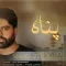 دانلود آهنگ مهدی زنده دل به نام پناه + متن آهنگ