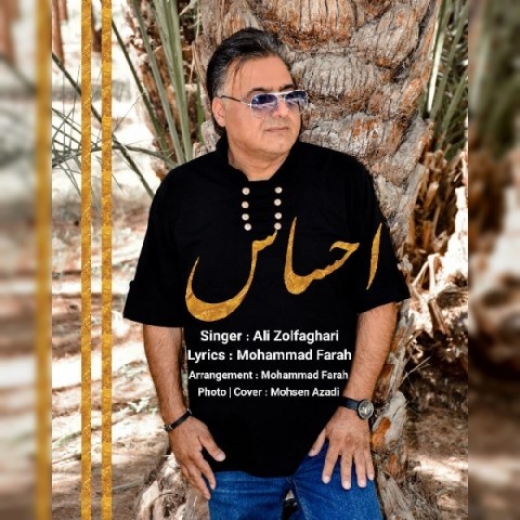 علی ذوالفقاری احساس