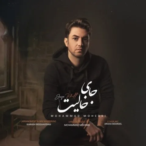 دانلود آهنگ محمد محبی به نام جای خالیت + متن آهنگ