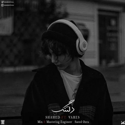 دانلود آهنگ شاهد و وارث به نام دلتنگ + متن آهنگ
