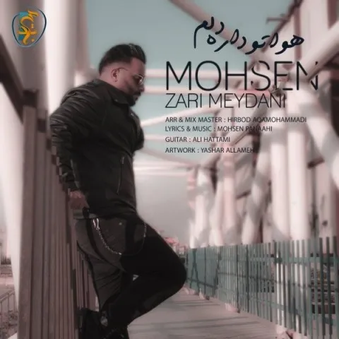 دانلود آهنگ محسن زری میدانی به نام هواتو داره دلم