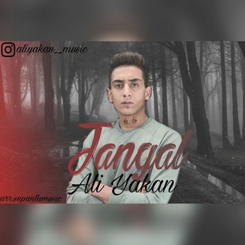 علی یاکان جنگل