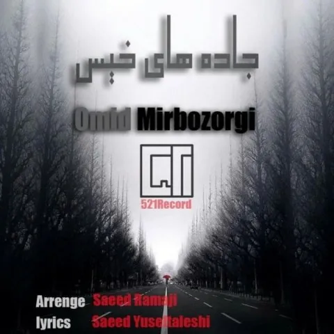 دانلود آهنگ امید میربزرگی به نام جاده های خیس + متن آهنگ