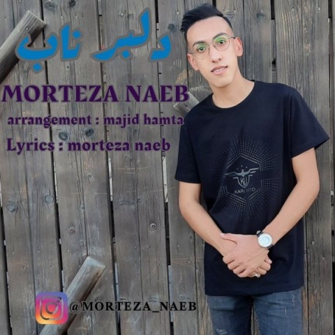 مرتضی نائب دلبر ناب