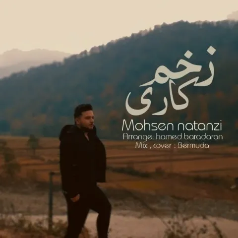 دانلود آهنگ محسن نطنزی به نام زخم کاری + متن آهنگ