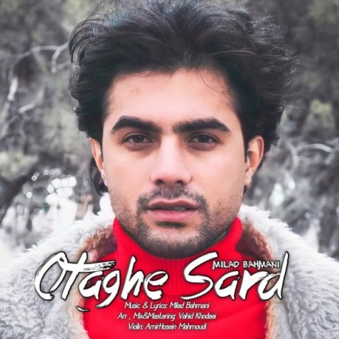 میلاد بهمنی اتاق سرد