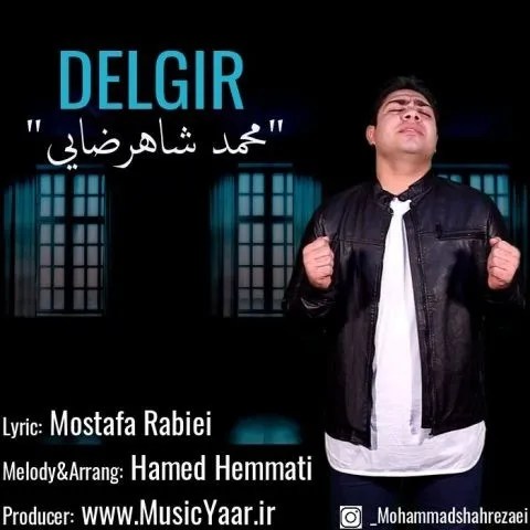 دانلود آهنگ محمد شاهرضایی به نام دلگیر