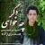 امیرحسین صفری زاده - دگر چه خواهی