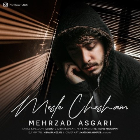 مهرزاد اصغری مثله چشام