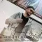 دانلود آهنگ مهدی قنبری به نام همه جونم تو