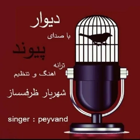 دانلود آهنگ پیوند به نام دیوار + متن آهنگ