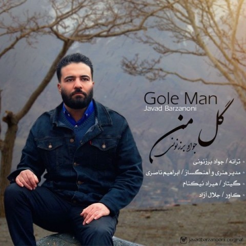 جواد برزنونی گل من