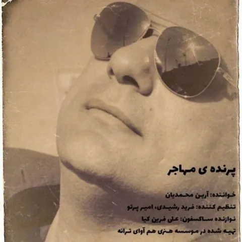 دانلود آهنگ آرین محمدیان به نام پرنده ی مهاجر + متن آهنگ