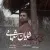 شایان شعبانی - موج موهات