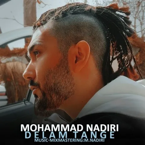 دانلود آهنگ محمد ندیری به نام دلم تنگه