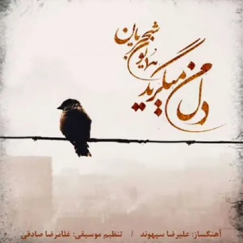 دانلود آهنگ همایون شجریان به نام دل من میگرید + متن آهنگ