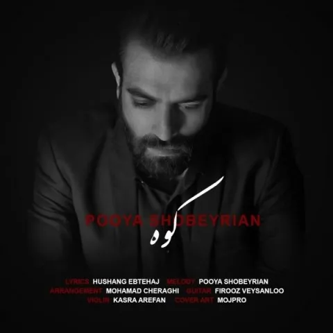 دانلود آهنگ پویا شبیریان به نام کوه + متن آهنگ
