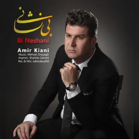 دانلود آهنگ امیر کیانی به نام بی نشانی