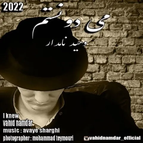 دانلود آهنگ وحید نامدار به نام می دونستم + متن آهنگ