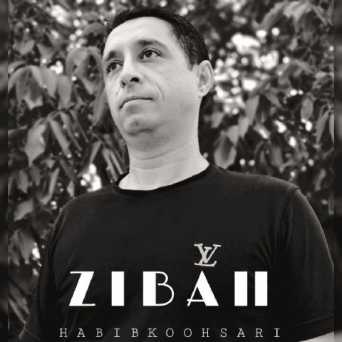 حبیب کوهساری زیبایی