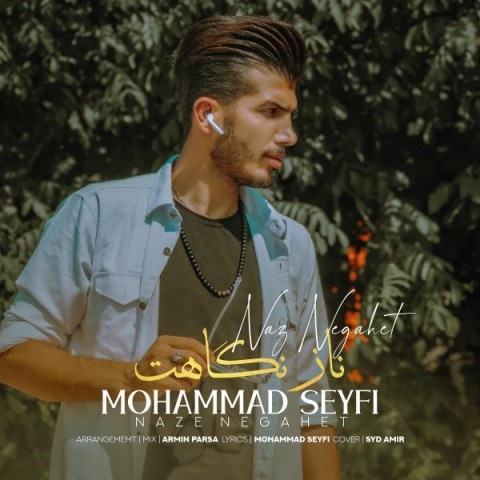محمد سیفی ناز نگاهت