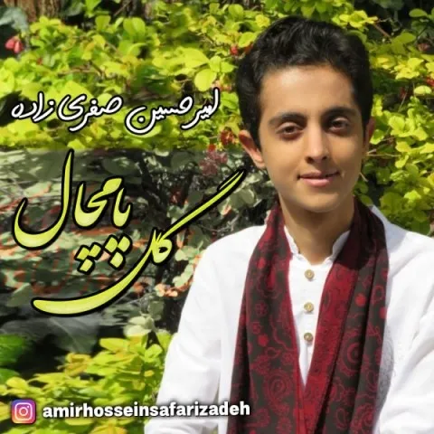 دانلود آهنگ امیرحسین صفری زاده به نام گل پامچال + متن آهنگ