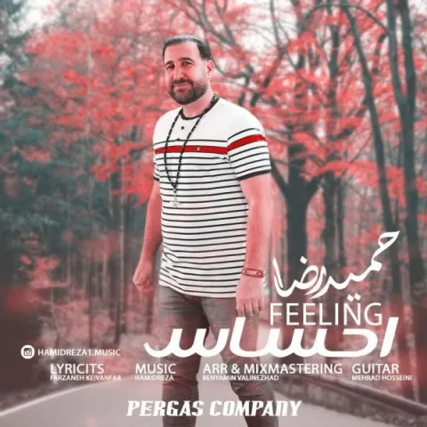 دانلود آهنگ حمیدرضا به نام احساس + متن آهنگ