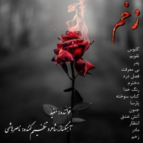 دانلود آلبوم مفید به نام زخم