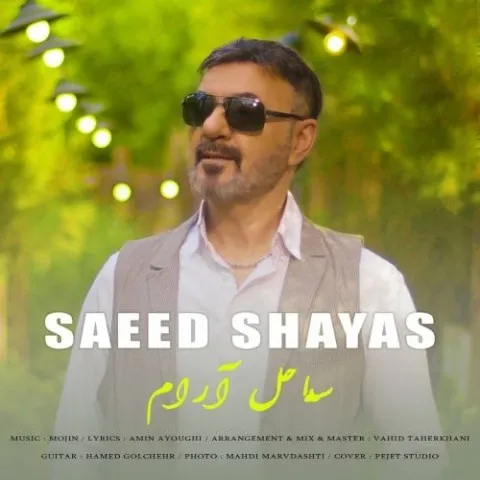 دانلود آهنگ سعید شایاس به نام ساحل آرام + متن آهنگ