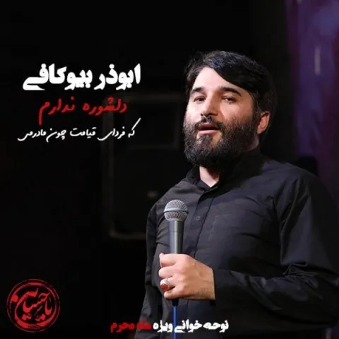 دانلود آهنگ ابوذر بیوکافی به نام دلشوره ندارم