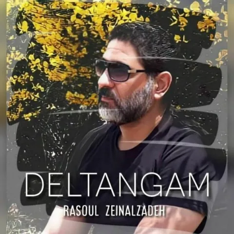دانلود آهنگ رسول زینال زاده به نام دلتنگم + متن آهنگ