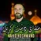دانلود آهنگ وحید هوشمند به نام سقای دشت کربلا