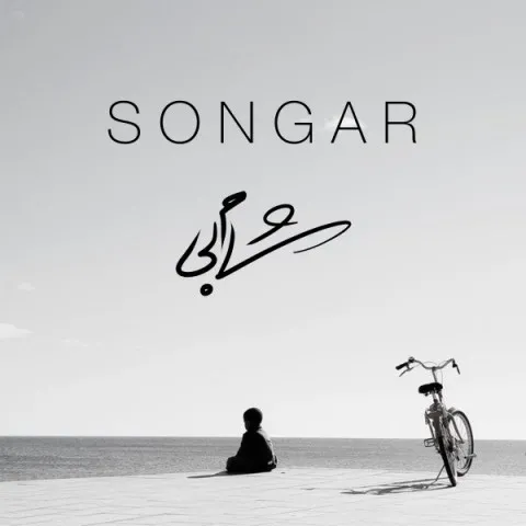 دانلود آهنگ سنگار به نام شام بی