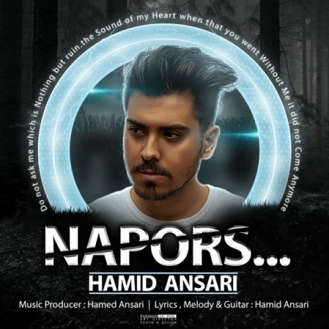 حمید انصاری نپرس
