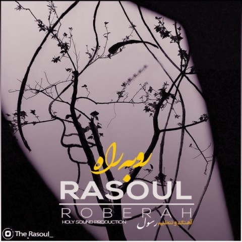 رسول روبه راه