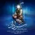 محمدرضا میرعماد - سردار