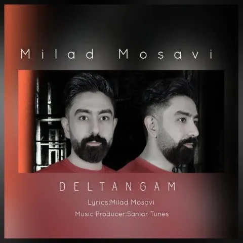 دانلود آهنگ میلاد موسوی به نام دلتنگم + متن آهنگ