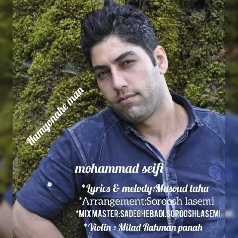 دانلود آهنگ محمد سیفی به نام هم گناه من
