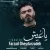 فرزاد قیدارزاده - یاغیش