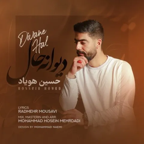 دانلود آهنگ حسین هویاد به نام دیوانه حال + متن آهنگ