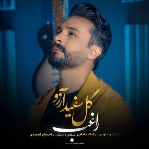 دانلود آهنگ راغب به نام گل سفید آرزو + متن آهنگ