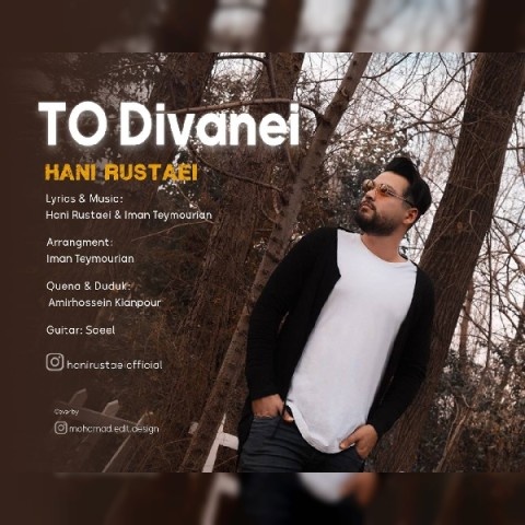 هانی روستائی تو دیوانه ای