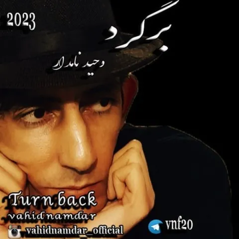 دانلود آهنگ وحید نامدار به نام برگرد + متن آهنگ