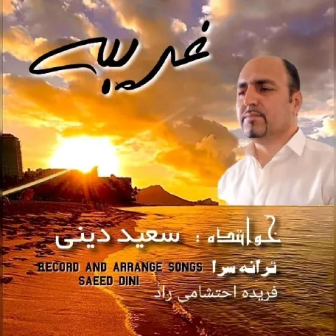 دانلود آهنگ سعید دینی به نام غریبه + متن آهنگ