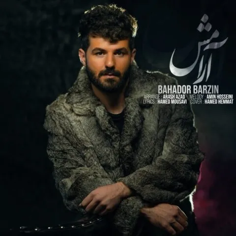 دانلود آهنگ بهادر برزین به نام آرامش + متن آهنگ