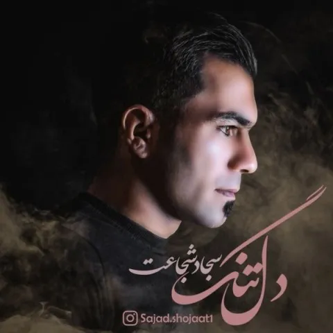 دانلود آهنگ سجاد شجاعت به نام دل تنگ + متن آهنگ