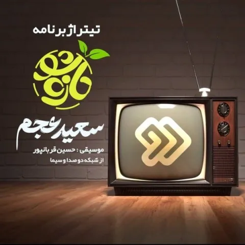 دانلود آهنگ سعید عجم به نام تازه شو + متن آهنگ